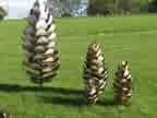 5 foot Pine Cones
