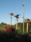 Crows Landing
