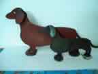 Dachund