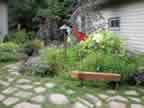 Dog Bench 0181
