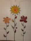 Flowers 0208