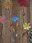 Flowers Detail