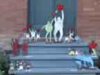 Heart Men and Their Families