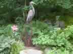 Heron in Reeds 89