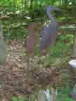 Heron 2D 82