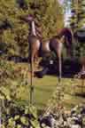 Horse 3D 023