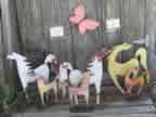 Horses and Butterflies