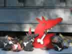 Junk Yark Dogs 0158