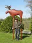 Moose A