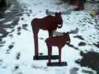 Moose in the Snow
