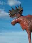 Moose Portraite 15