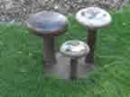 Musical Toadstool Sytools