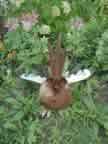 Propane Tank Owl