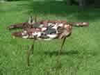 Scrap Coyote