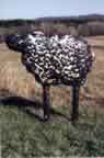Sheep 3D 071