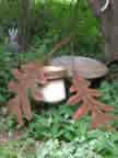 Single Pine Cone