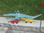 Small Aligators