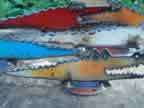 Small Gators