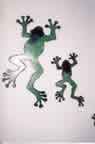 Tree Frogs