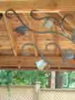 Trellis Detail