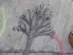 Wall Tree