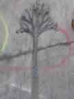 Wall Tree in Progress