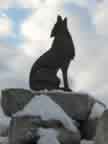 Wolf E