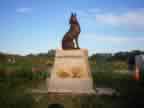 Wolf on Stone